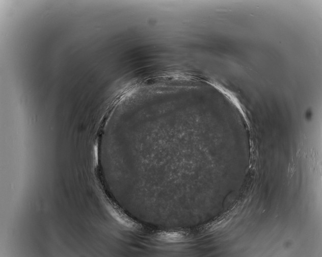 X0000098180061200805011045