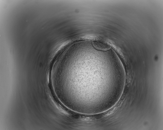 X0000098180062200805011045