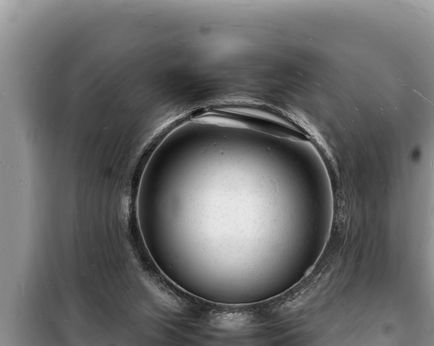 X0000098180063200805011045