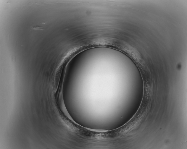 X0000098180064200805011045