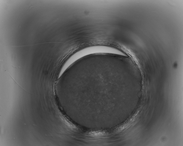 X0000098180065200805011045