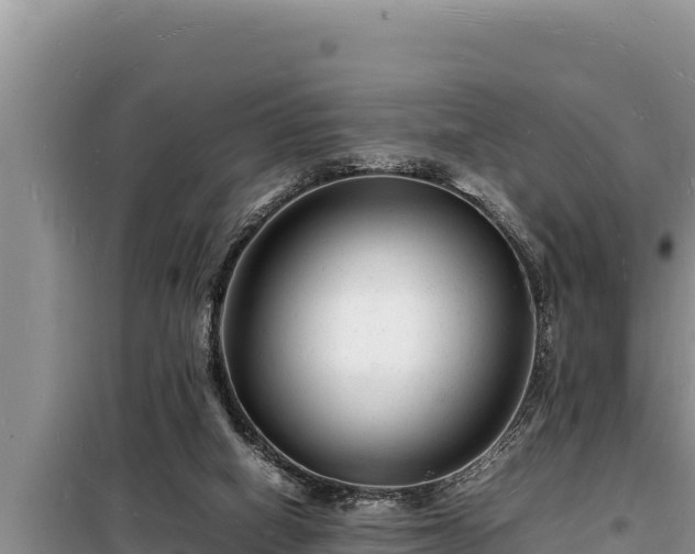 X0000098180066200805011045