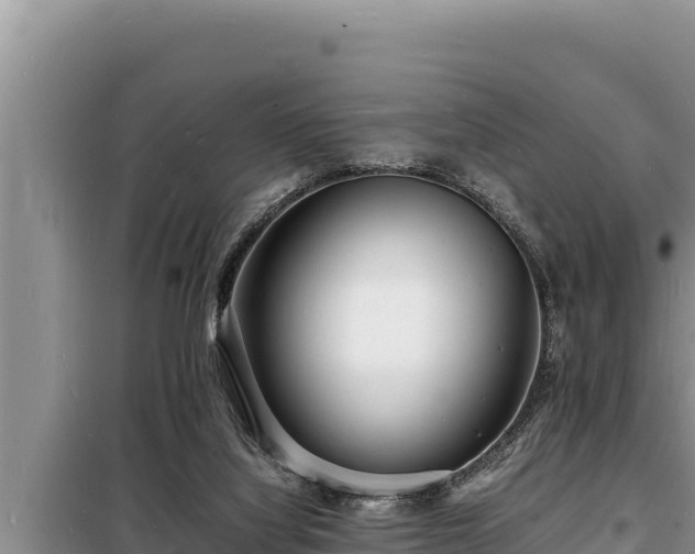 X0000098180068200805011045