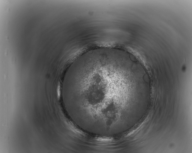 X0000098180069200805011045