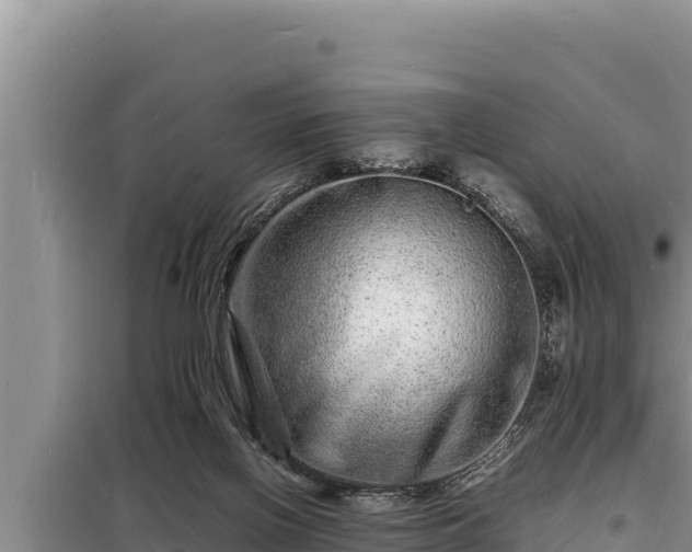 X0000098180070200805011045