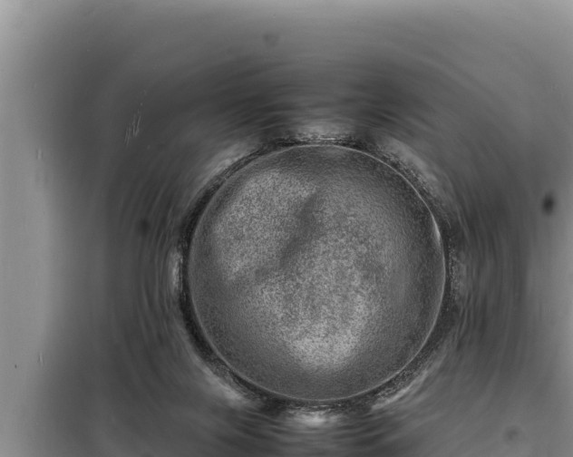 X0000098180071200805011045