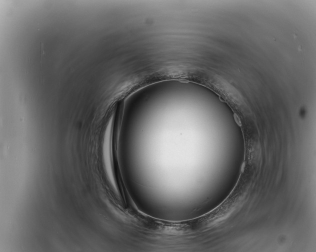 X0000098180072200805011046