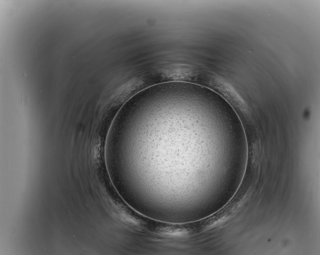 X0000098180073200805011046