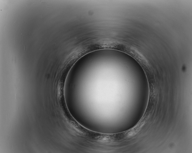 X0000098180074200805011046