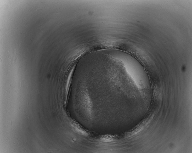 X0000098180076200805011046