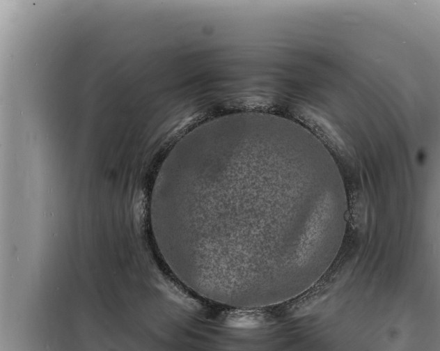 X0000098180077200805011046