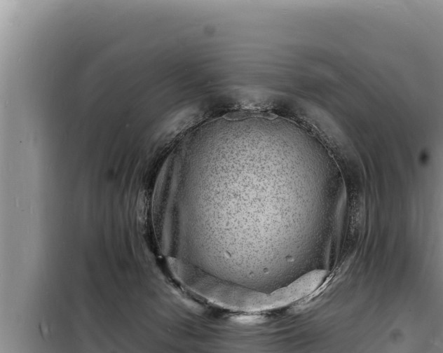 X0000098180078200805011046