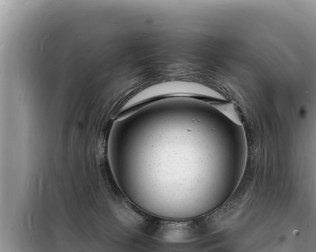 X0000098180081200805011046