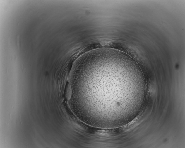 X0000098180082200805011046