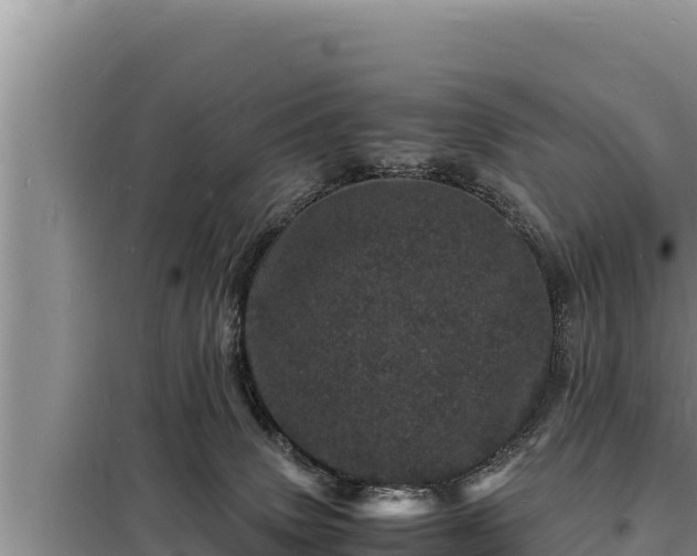 X0000098180083200805011046