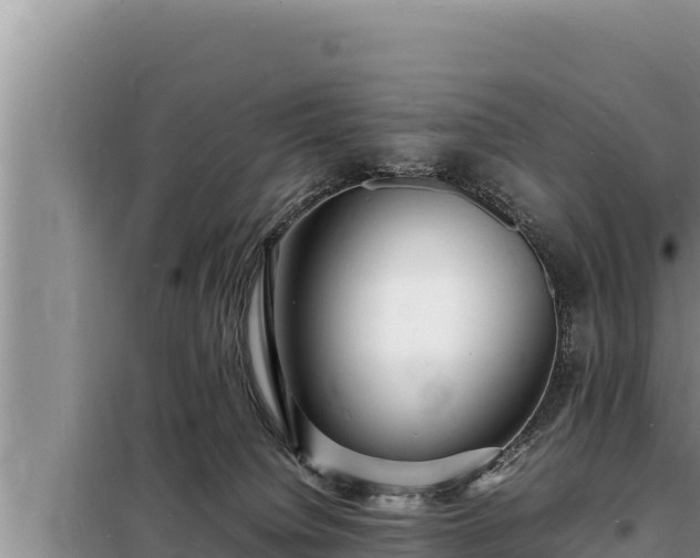 X0000098180084200805011046