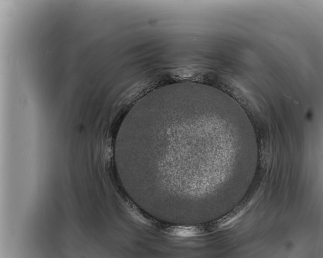 X0000098180085200805011046