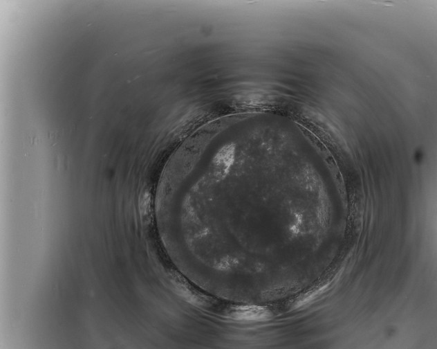 X0000098180087200805011046