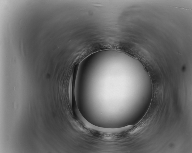 X0000098180088200805011046