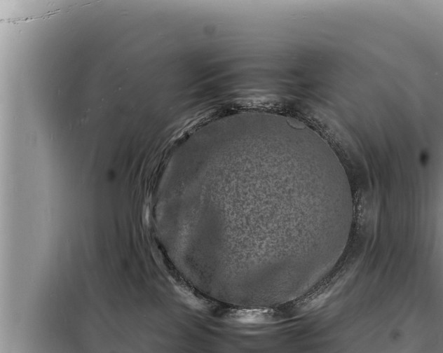 X0000098180089200805011046