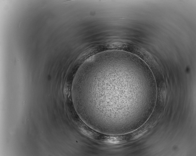 X0000098180091200805011046