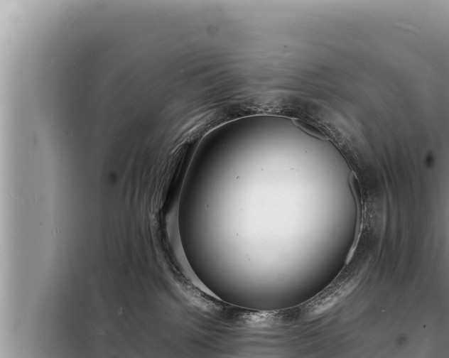 X0000098180092200805011046