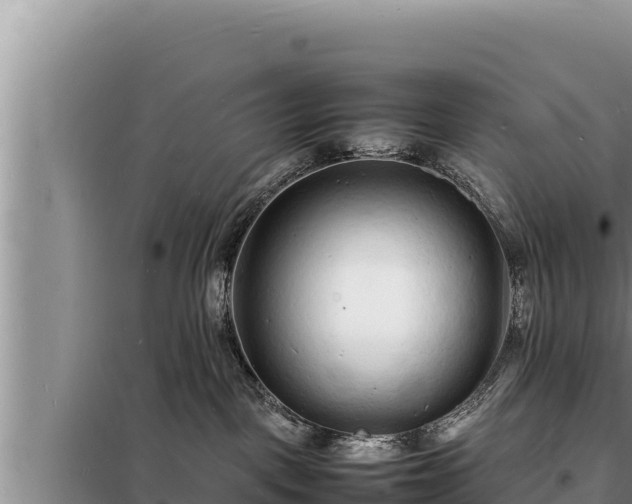 X0000098180093200805011046