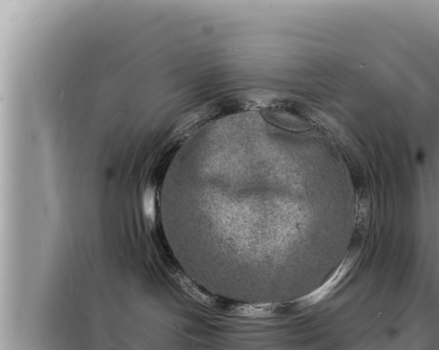 X0000098180094200805011046