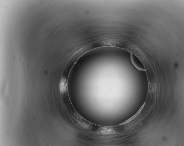 X0000098180095200805011046