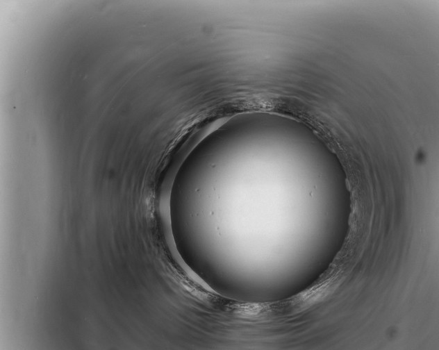 X0000098180096200805011046