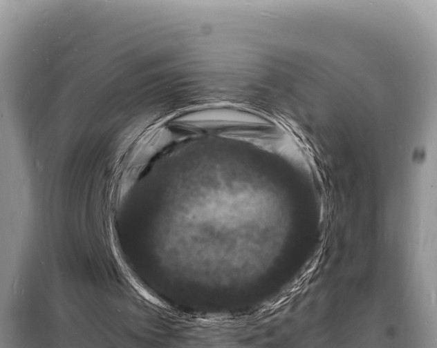 X0000098180097200805011045