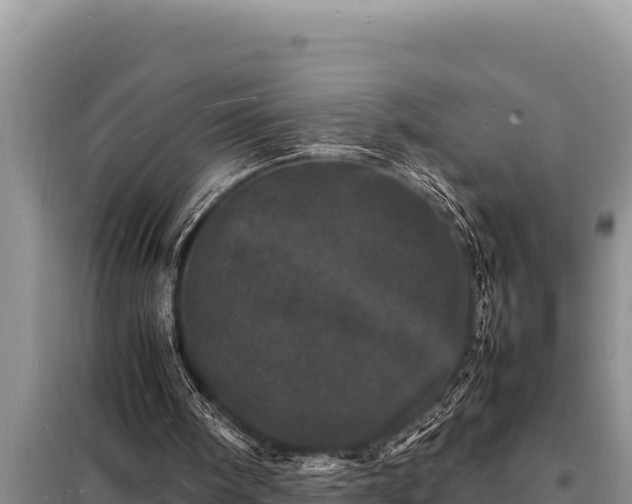 X0000098180098200805011045