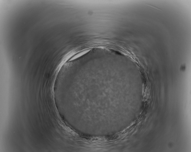 X0000098180099200805011045