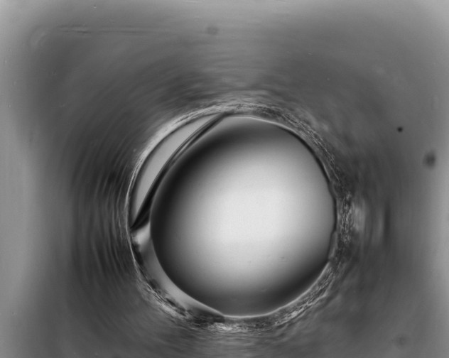 X0000098180100200805011045