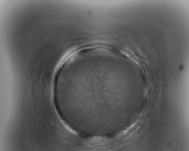 X0000098180101200805011045