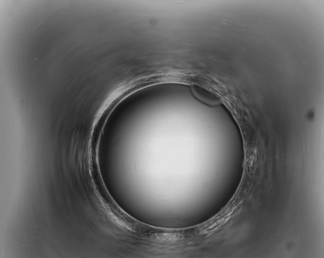 X0000098180102200805011045