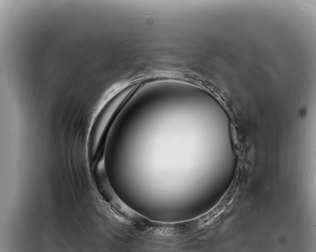 X0000098180104200805011045