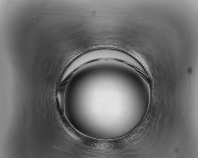 X0000098180105200805011045