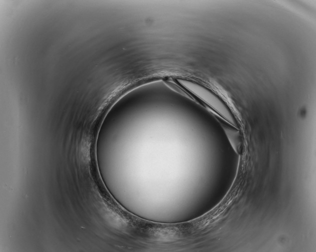 X0000098180106200805011045