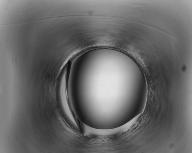 X0000098180108200805011045