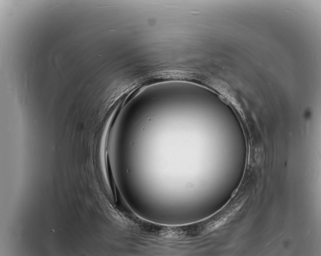 X0000098180109200805011045