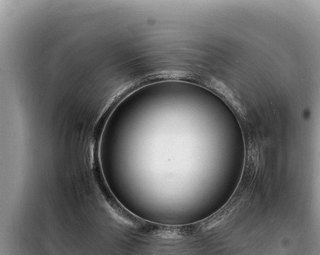 X0000098180110200805011045