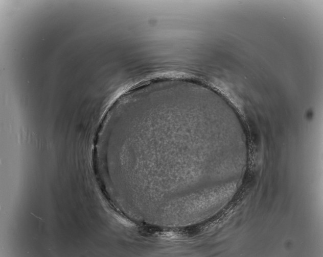 X0000098180111200805011045