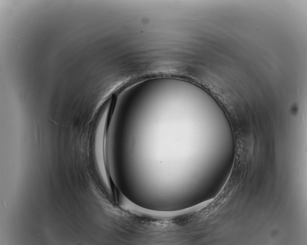 X0000098180112200805011045