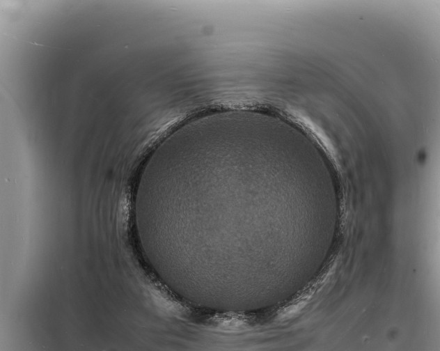 X0000098180113200805011045