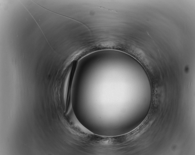 X0000098180116200805011045