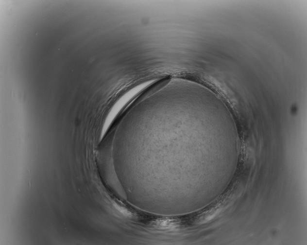 X0000098180117200805011045