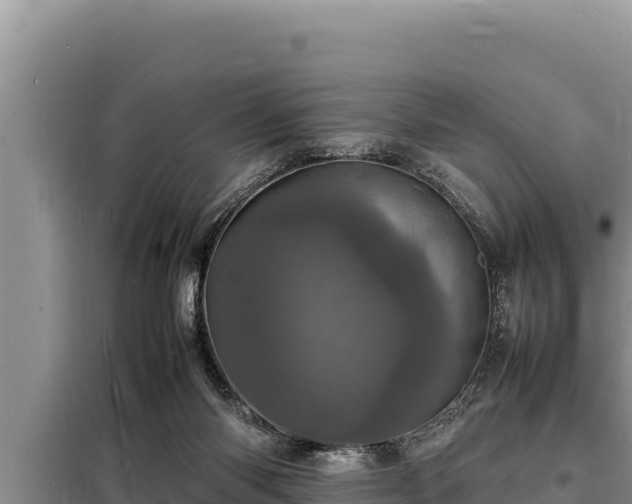 X0000098180118200805011045