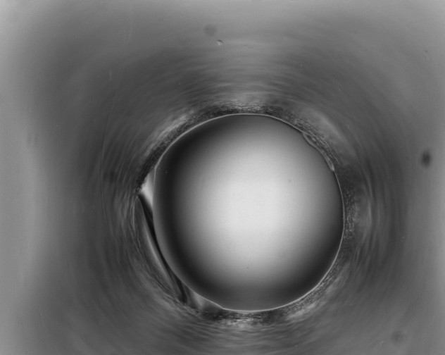 X0000098180120200805011045