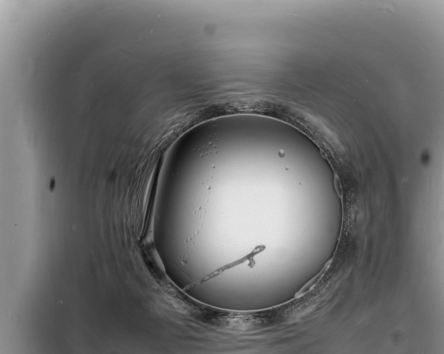 X0000098180121200805011045